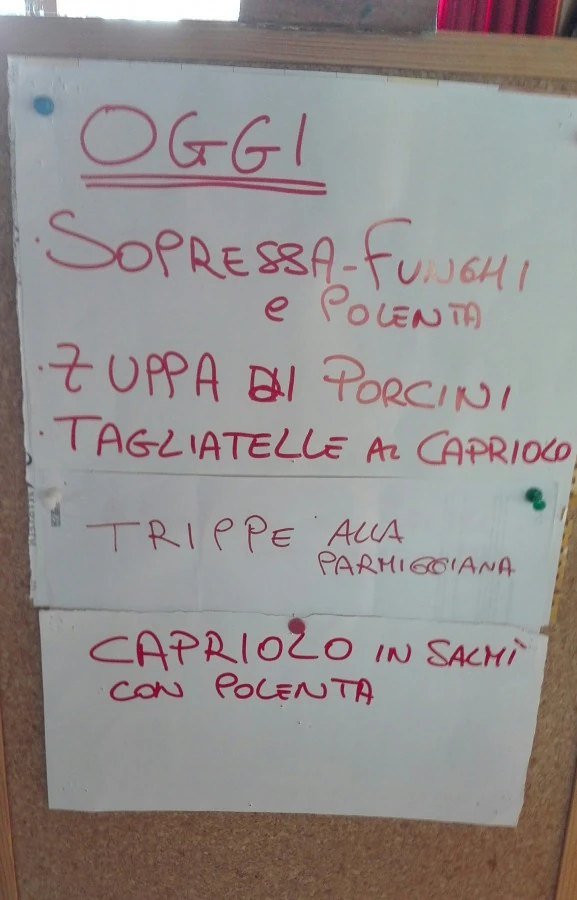 Vaccata