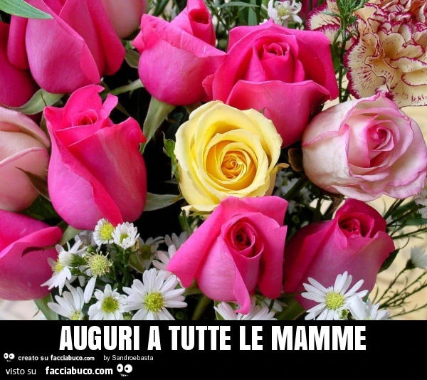 Auguri a tutte le mamme - Facciabuco.com