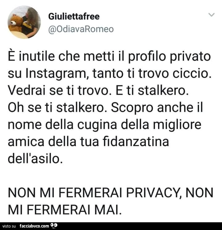 È inutile che metti il profilo privato su instagram, tanto ti trovo ciccio. Vedrai se ti trovo. E ti stalkero. Oh se ti stalkero. Scopro anche il nome della cugina della migliore amica della tua fidanzatina dell'asilo. Non mi fermerai privacy, non mi