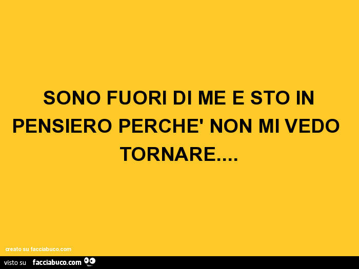 Sono fuori di me e sto in pensiero perchè non mi vedo tornare