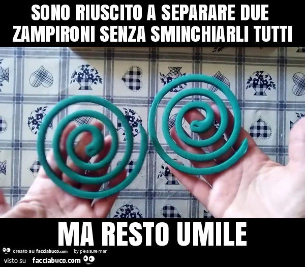 Sono riuscito a separare due zampironi senza sminchiarli tutti ma resto umile