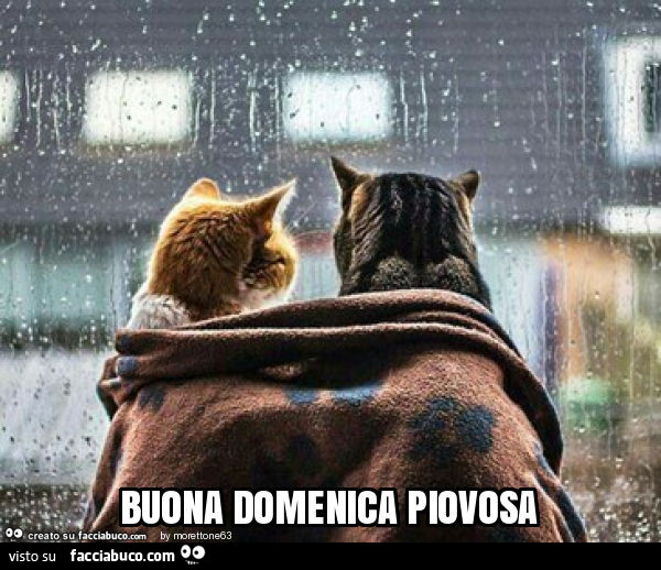 Buona domenica piovosa
