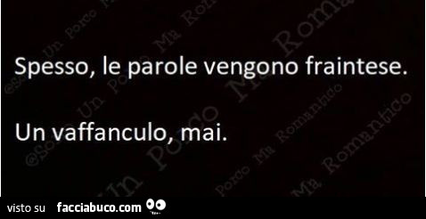 Spesso, le parole vengono fraintese. Un vaffanculo, mai