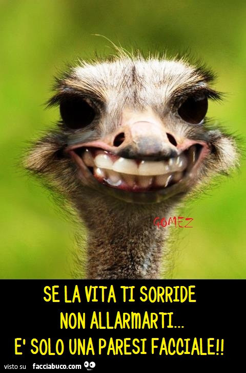 Se la vita ti sorride non allarmarti. È Solo una paresi facciale