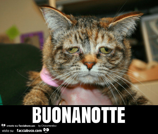 Buonanotte
