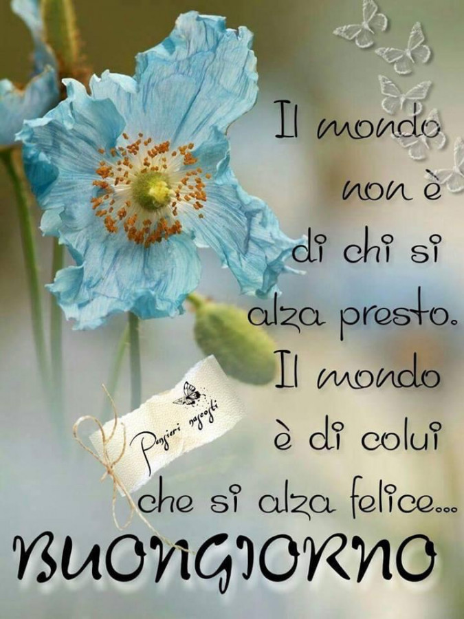 Ciao Buongiorno E Buona Giornata A Tutta La Compagnia Di