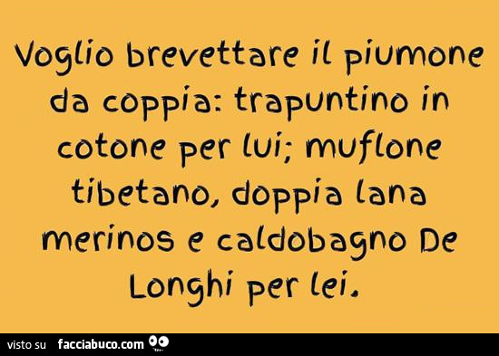 Voglio brevettare il piumone coppia: trapuntino in cotone per lui; muflone tibetano, doppio lana merinos e caldobagno de longhi per lei