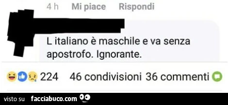 L italiano è maschile e va senza apostrofo. Ignorante