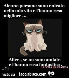 Alcune persone sono entrate nella mia vita e l'hanno resa migliore. Altre se ne sono andate e l'hanno resa fantastica