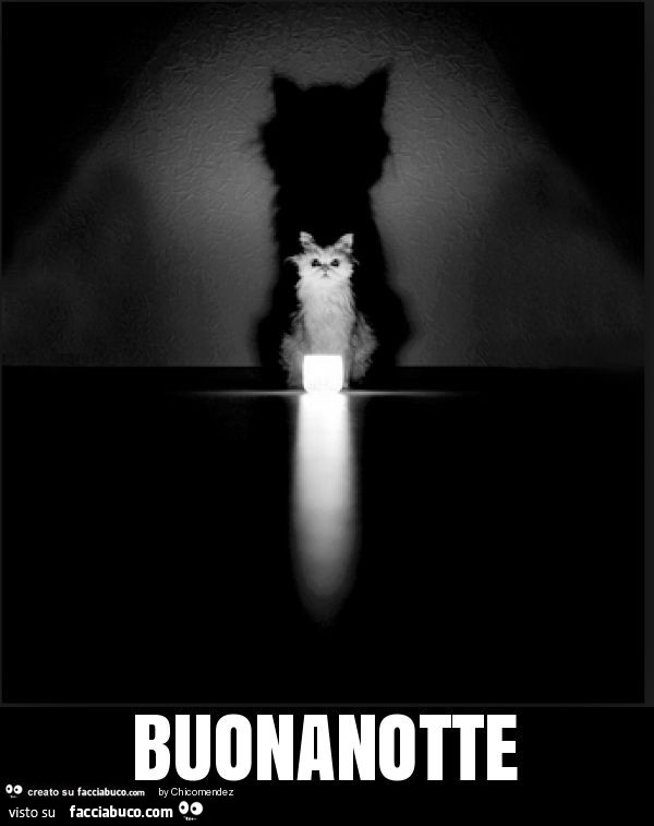 Gatto proietta l'ombra. Buonanotte