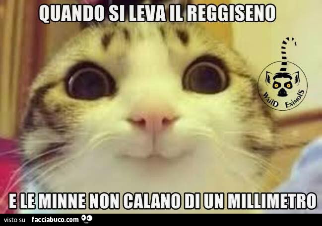Quando si leva il reggiseno e le minne non calano di un millimetro