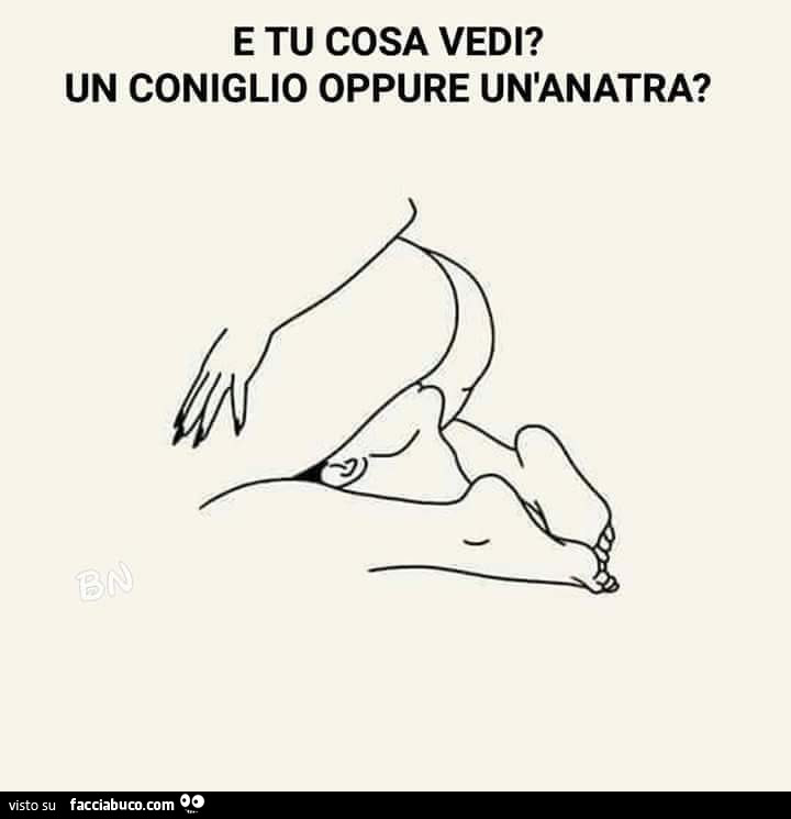 E tu cosa vedi? Un coniglio oppure un'anatra?