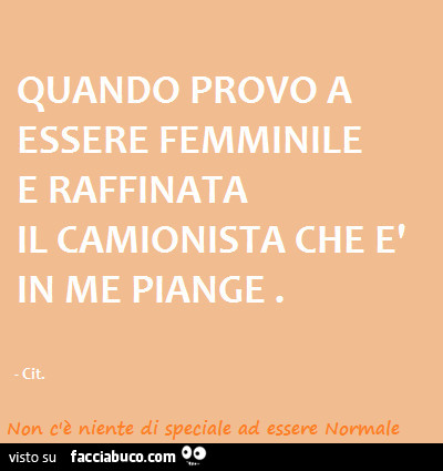 Quando provo a essere femminile e raffinata il camionista che è in me piange