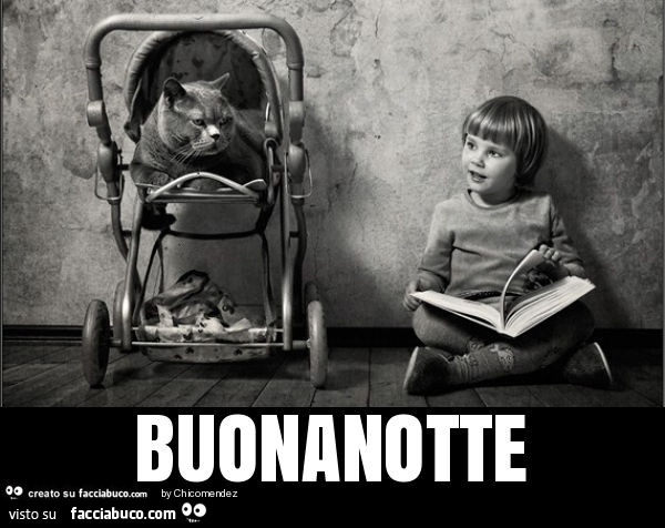 Buonanotte