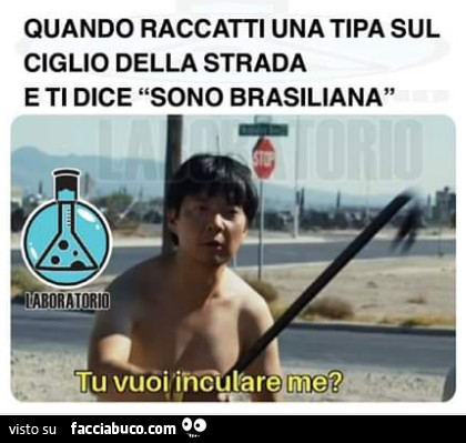 Quando racatti una tipo sul ciglio della strada e ti dice sono brasiliana