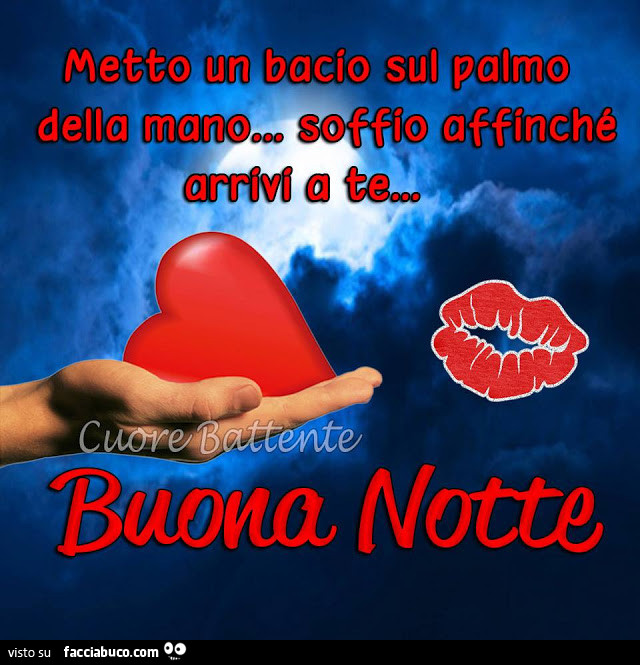 Metto un bacio sul palmo della mano… soffio affinchè arrivi a te. Buona notte