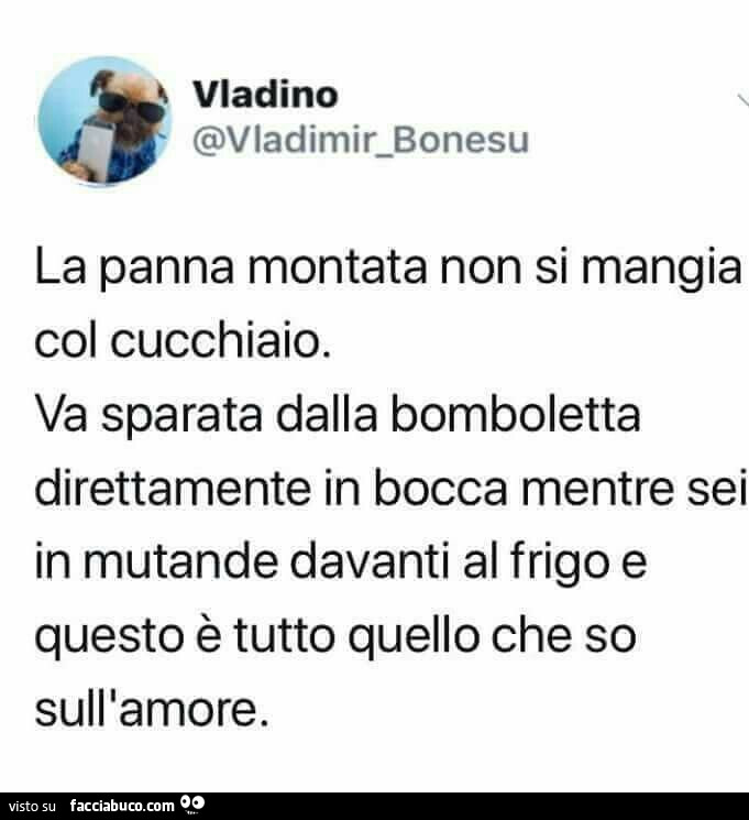 La panna montata non si mangia col cucchiaio. Va sparata dalla bomboletta direttamente in bocca mentre sei in mutande davanti al frigo e questo è tutto quello che so sull'amore