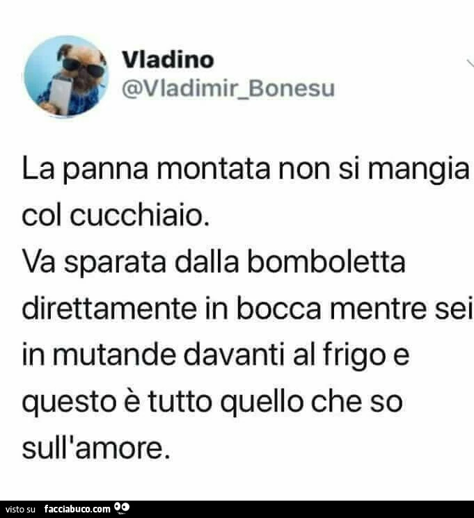 La panna montata non si mangia col cucchiaio. Va sparata dalla bomboletta direttamente in bocca mentre sei in mutande davanti al frigo e questo รจ tutto quello che so sull'amore