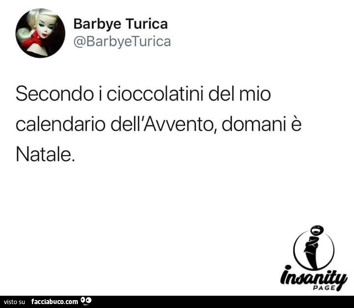Secondo i cioccolatini del mio calendario dell'avvento, domani è natale