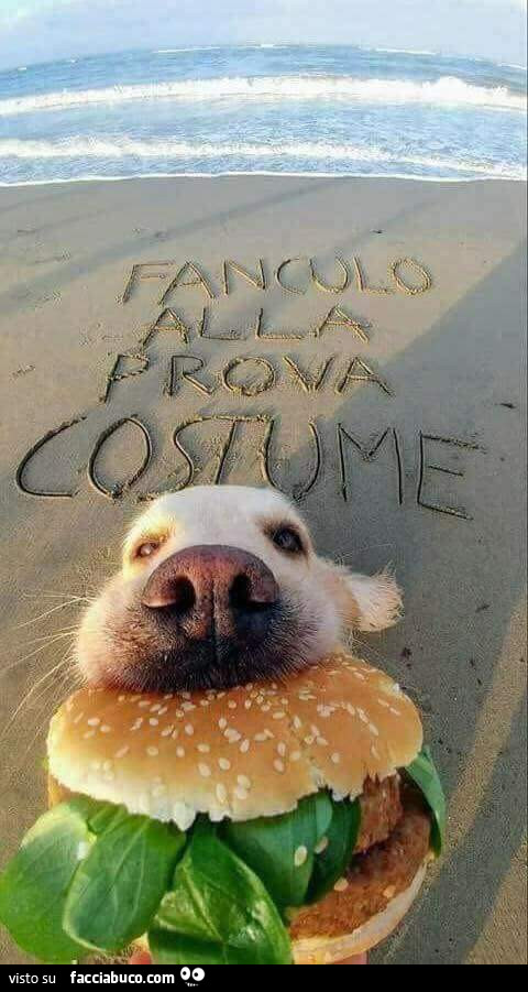 Cane con panino in bocca. Fanculo alla prova costume