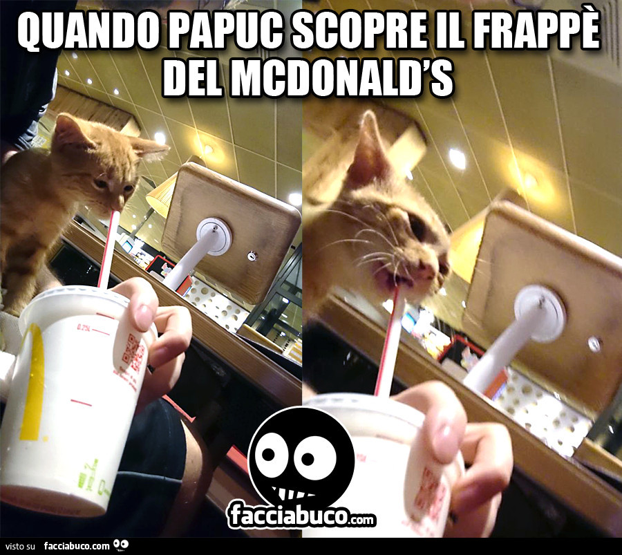 Quando Papuc scopre il frappè del McDonald's