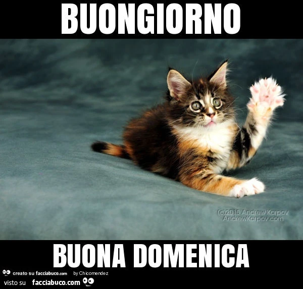 Buongiorno buona domenica
