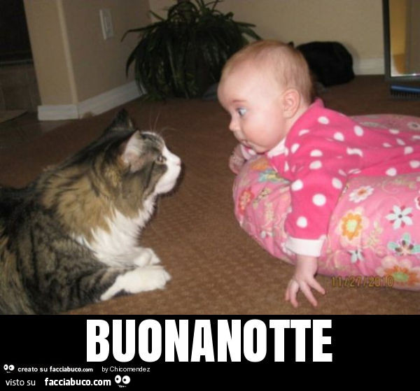 Buonanotte