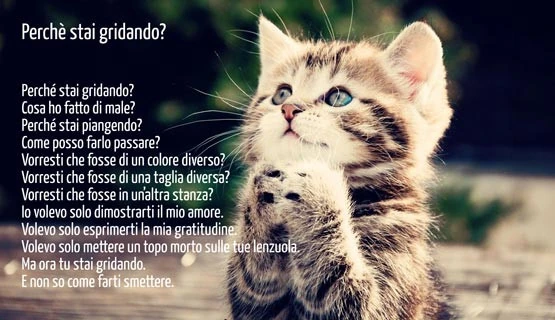 Povero