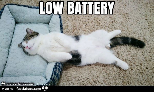 Gattino low battery