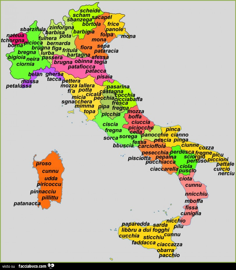 Tutti i nomi della vagina regione per regione