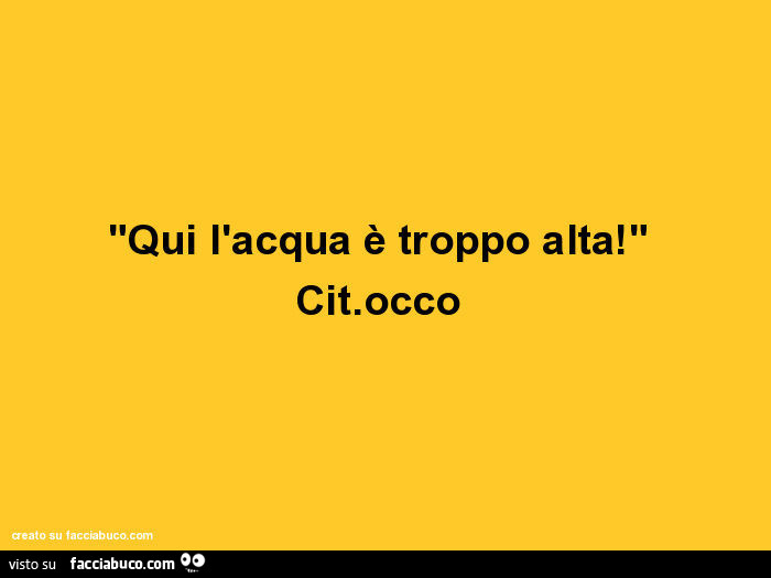 Qui l'acqua è troppo alta! Cit. Occo