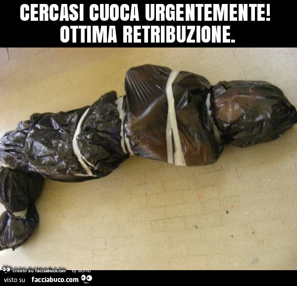 Cercasi cuoca urgentemente! Ottima retribuzione