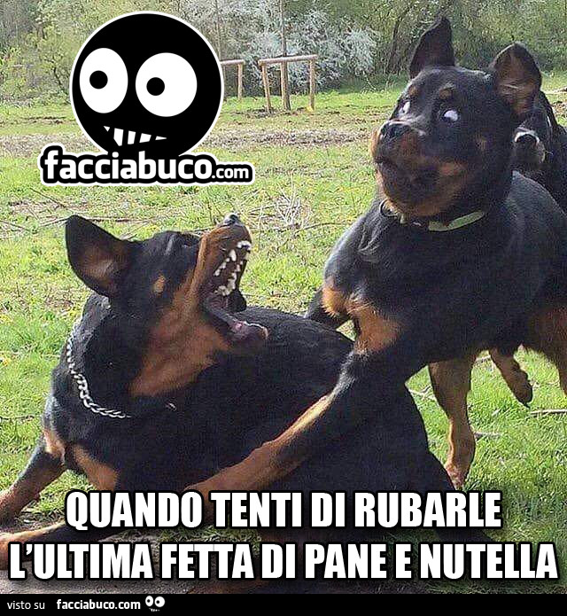 Quando tenti di rubarle l'ultima fetta di pane e Nutella