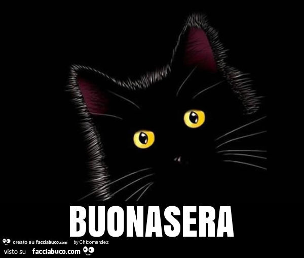 Gatto nero occhi gialli. Buonasera