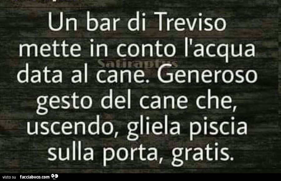Un bar di treviso mette in conto l'acqua data al cane. Generoso gesto del cane che, uscendo, gliela piscia sulla porta, gratis