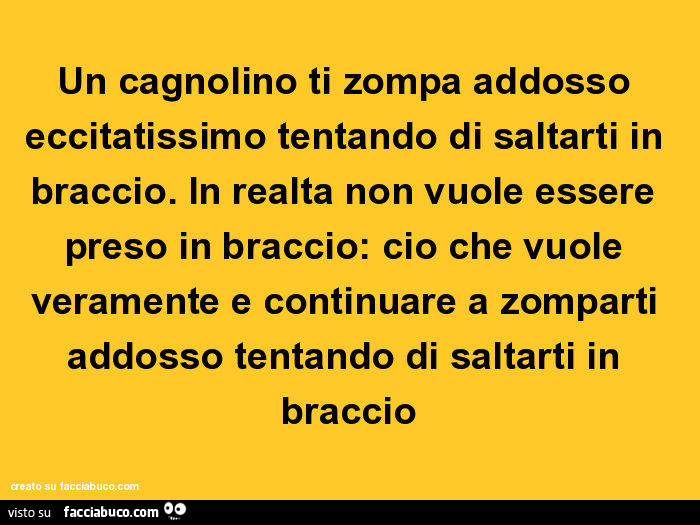 Un cagnolino ti zompa addosso eccitatissimo tentando di saltarti in braccio. In realtà non vuole essere preso in braccio: ciò che vuole veramente è continuare a zomparti addosso tentando di saltarti in braccio