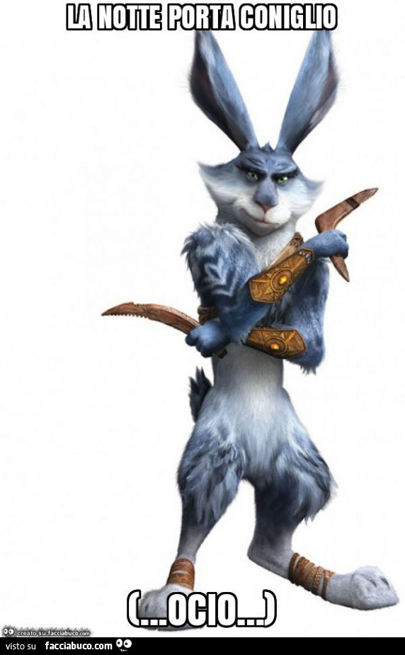 La notte porta coniglio… ocio