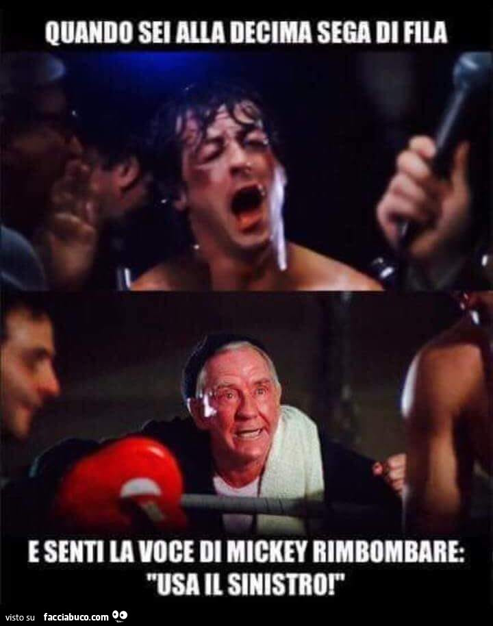 Vaccata