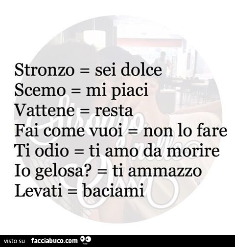 Il vocabolario delle donne. Stronzo = sei dolce. Scemo = mi piaci. Vattene = resta. Fai come vuoi = non lo fare. Ti odio = ti amo da morire