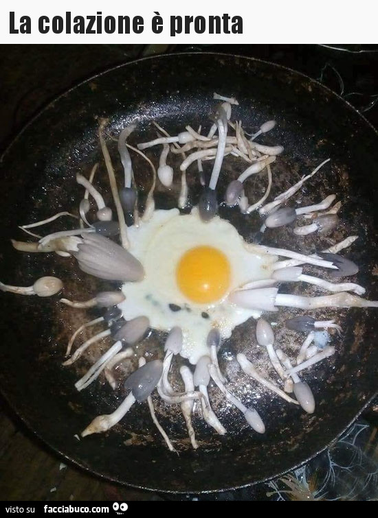 La colazione è pronta: uova e funghi in padella