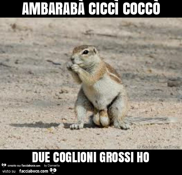 Ambarabà ciccì coccò due coglioni grossi ho