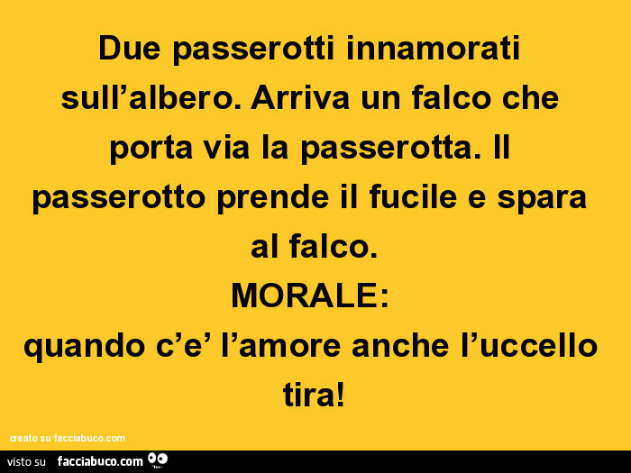 Due passerotti innamorati sull'albero. Arriva un falco che porta via la passerotta. Il passerotto prende il fucile e spara al falco. Morale: quando c'e' l'amore anche l'uccello tira