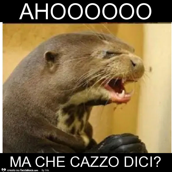 Ahoooooo ma che cazzo dici?