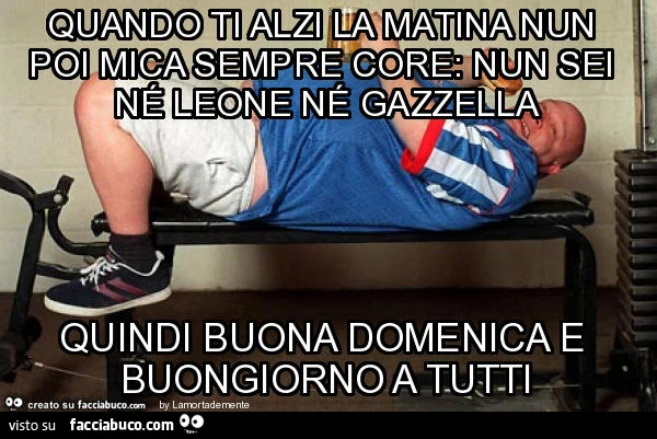 Quando ti alzi la matina nun poi mica sempre core: nun sei né leone né gazzella quindi buona domenica e buongiorno a tutti
