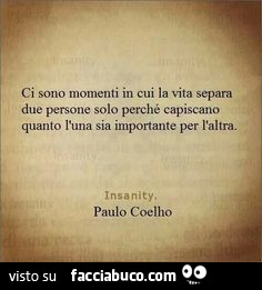 Ci sono momenti in cui la vita separa due persone solo perchè capiscano quanto l'una sia importante per l'altra. Paulo Coelho