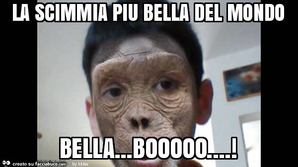 La scimmia piu bella del mondo bella… booooo
