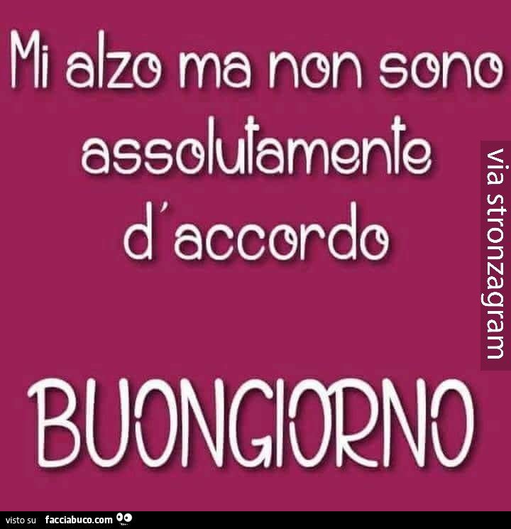 Mi alzo me non sono assolutamente d'accordo. Buongiorno