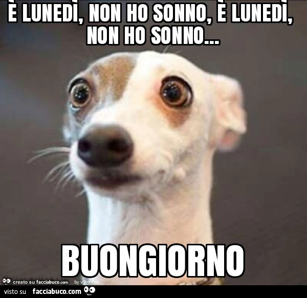 È lunedì, non ho sonno, è lunedì, non ho sonno&hellip; buongiorno