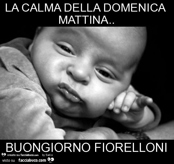 La Calma Della Domenica Mattina Buongiorno Fiorelloni Facciabuco Com