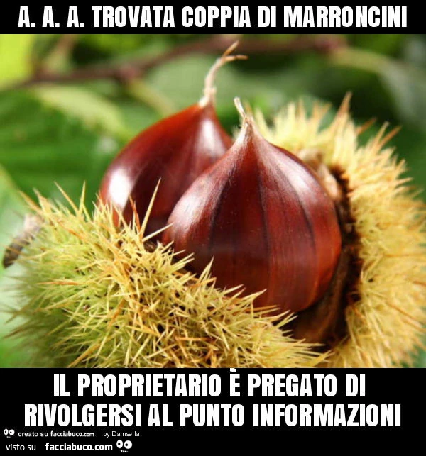 A. A. A. Trovata coppia di marroncini il proprietario è pregato di rivolgersi al punto informazioni